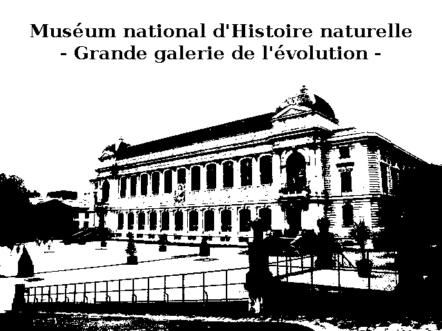 Grande galerie de l'volution